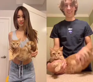 Let’s just say that I owe Cheeto a lot of treats for doing this 😅 #duet with @abrameng