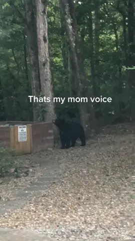 Hahaha no sir don’t be gettin any ideas. #mom #MomsofTikTok #fyp #foryou #nature #bear #relatable