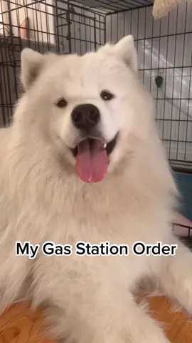 someone get me to 7/11 STAT #gasstationfood #gasstationorder
