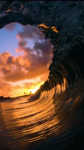 Inside a wave at sunrise 🌅 #waves #surf #surfing #ocean #sunrise #fyp #foryoupage #WaitForTheGreats #hawaii