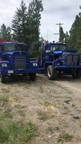 These are why I’m single....  #Kenworth #trucks #working #trucker #oldiron #owneroperator