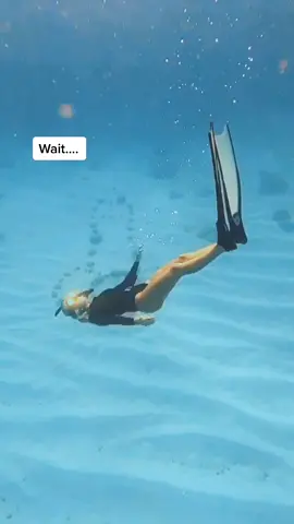 I didn’t even see that until I edited this 🤦🏼‍♀️ #Hawaii #bubblerings #lightbeams #oahu #underwater #freedive #fyp #viral