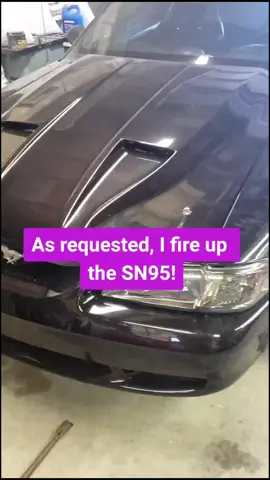 Continuation of my SN95 mustang. #ford #mustang #fiveoh #pushrod #engine #302 #supercharged #bigcam #crowdcontrol #fyp #foryou #xyzbca #mechanic