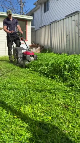 Need new blades ☹️ #grass #satisfying #fyp #foryoupage #foryou #naturevibes #lawn #work #mower #ftp #odlysatisfying