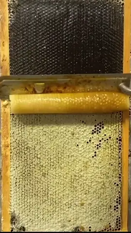 Anyone fancy some honey? 🍯 🤤 #honey #scrape #sosatifying #satisfying #asmr #fyp