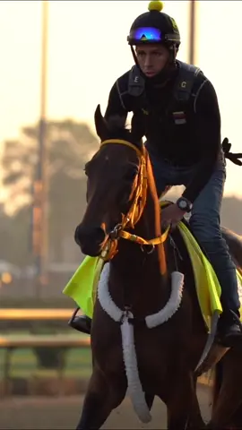 King 👑 #KYDerby #fitcheck