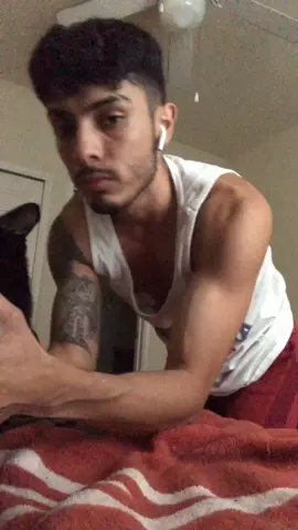 More tommy content