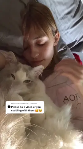 Reply to @sunnisethtim  I realize I actually have a lot of videos of me cuddling with my cats that I never posted