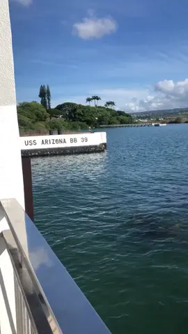 Must See Destination in the United States 🇺🇸 #travel #traveltheworld #usa #pearlharbor #nps #nationalpark #hawaii #hawaiination #travelblogger #fyp