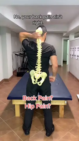 Stretch for Lower Back & Hip Pain Relief. #chiropractor #chiropractic #satisfying #advice #educational #stretch #fy #backpain SC @nopainmoregains