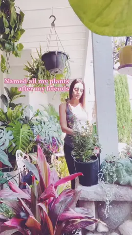 Woke up feeling so grateful #plantsoftiktok #Leveledup #gardening101 #Plantlove #Water #friendship #fypforyou #hopeyouenjoy #happiness #stonerchik #Fy