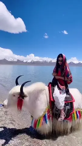 Namco is located in Dangxiong County, north of Lhasa. Tibetan means 