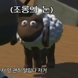 SHEEP🐑: kamu siapa? kamu siapa?? aku siapa???? #sheep #domba #kpopmemes #seventeen #세븐틴 #fypシ #fyp #caratと繋がりたい #carat #캐럿 #meme