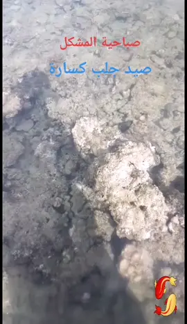 🐬صيد مشكل فاخر جلب كسارة🐬#الساحل #جلب #البحر_الأحمر #هامور #بحر #صيد_سمك #شعور #سنارة #قصبة #سمك #fishing #grouper #angler