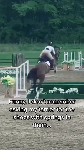 ...wow #FreezeFramePhoto #equestrian #hunterjumper #horse #fyp #foryou