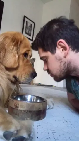 Dinner time❤️ #marleynyc #dinnertime #dogsoftiktok