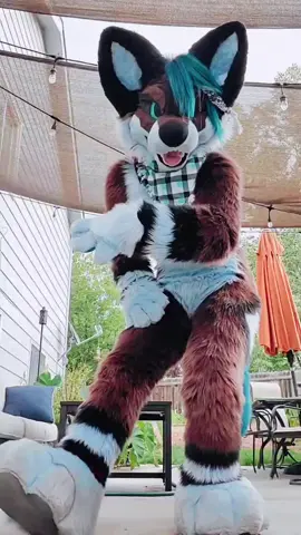 blooper 😂 #furry #furryfandom #fursuit #furry4life