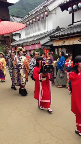 Oiran #parade in #EdoWonderland/Nikko #Edomura, #Nikko, #Japan. #Geisha and #Oiran are substantially different. #asia