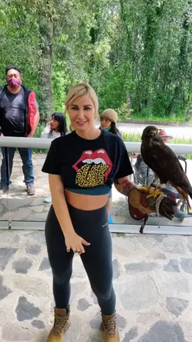 Make my friend “Sammy the hawk” go viral 🦅 #animallovers #fyp #zoo #animalsdoingthings #WelcomeWeek