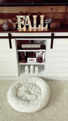 All the Fall feels #fallvibes #homedecor #falldecor #fypシ #foryourpage #ProveWhatsPossible #ididit #mickeyandminnie #dogmom #MomsofTikTok