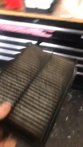 Dirty boii #snekmek #qualitycontent