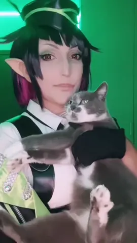 was gonna say I like this costume then my cat got needy 🙀 #liliavanrouge #twistedwonderland