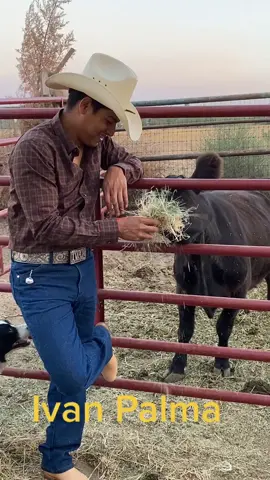 #ivanpalma #jaripeo #rodeo# bull rider #mexico #amigo #party #ranch