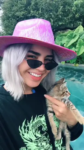 ¿Que nombre le ponemos? Le pondré el nombre del comentario con más likes😳💗✨ᴀʏᴜᴅᴀᴀᴀ🐱