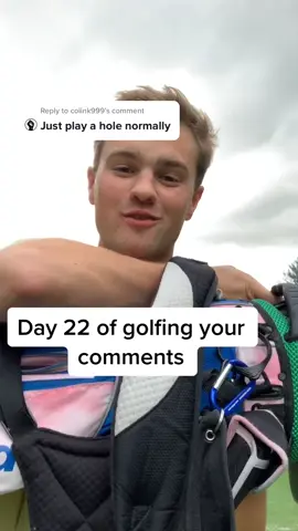 Reply to @colink999 what should I play with next? #golf #golfclubs #fyp #foryou #foryoupage