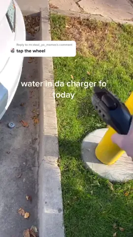 Reply to @mr.steal_yo_memes water in da charger #tesla #foryou