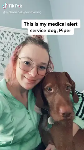 Piper to the rescue! #servicedog #mastcellactivationsyndrome #provewhatspossible #chronicillness