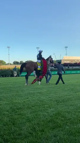 Authentic wins the Kentucky Derby! #KYDerby.