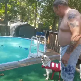 pool jump! #pooltime #dogsoftiktok #pooldog