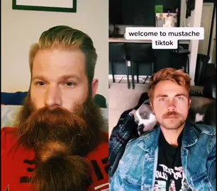 #duet with @bangingurmom I moustache you a question 😎 #MillennialsOfTikTok #DidYouKnow #fyp #beardedbeast #mustache