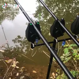 #fishinglife #fishing #fisherman #angler #angling #fish #bigfish #karpfen #nashtackle #carprun #fishingrod #carp #carpfishing #theaverageanglers