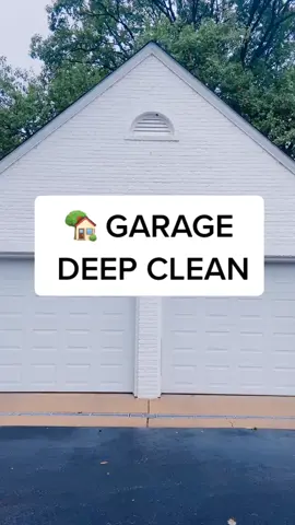 Did you see Mosby? He loves water! 🐶 #deepclean #cleaningtiktok #pressurewashing #satisfying #clean #organizeit #garage #cleangarage #beforeandafter