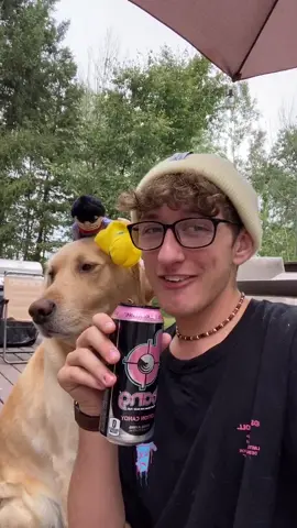Horsey Dozer 😂❤️ @bangenergy @bangenergy.ceo #bangenergy #ad