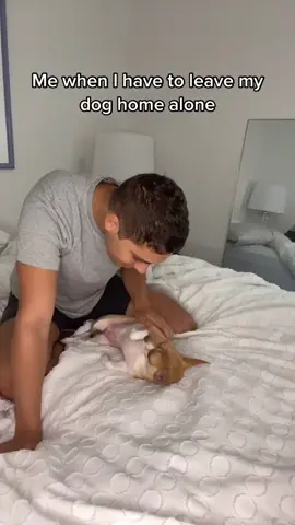 ⚠️ Warning Extremely Emotional ⚠️ #fyp #dog #emotional