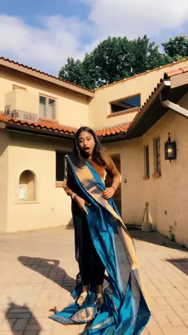 I was trying do a nice bengali style pause frame but oops 😂 #bengalicomedy #bangladesh #saree #foryoupage