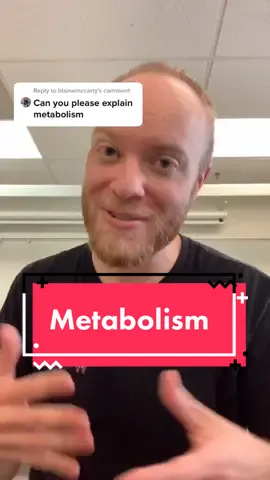 Reply to @blainemccarty Great job @chrisfrommiami! Today’s ? is from @xxswetaytoesxx — estrogen? #LearnOnTikTok #tiktokpartner #nutrition