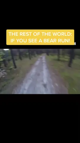 Epic bear meme! #foryoupage #viral #fyp#foryou #americavsrussia #russia#holdmyvodka #russiamemes#foryoupage#memes#bear#therestoftheworldvsrussia#fyp