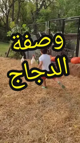 وصفة دجاج بالمزرعة... ولا أطيب #لبنان #كويت #الخليج #العراق #السعودية #تونس #الاردن #مصر #الجزائر #مغرب #عرب #قطر #سوريا #فلسطين