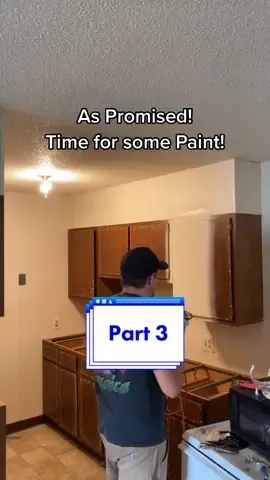 Part 3. Painting. Part 4 is hardware countertops coming soon! #part2 #fyp #construction
