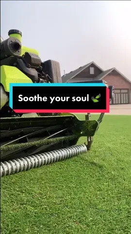 Afternoon vibes 🌤 @edgar #WeAreTikTok #grass #lawncare