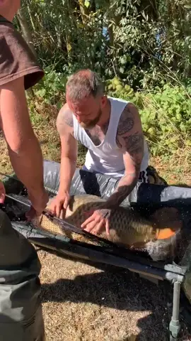 Stay still🐟! #carp #commoncarp #fish #fishing #bigfish #carpfishing #lovefishing #bigcatch #catching #lovingit #staystill #dontmove #fidgety #fyp #fy