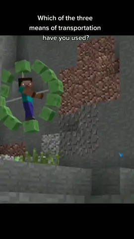 Which of the three means of transportation have you used?#Minecraft #funny #meme #cyberpunk