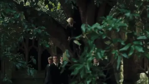 more Draco fan cam #harrypotter #dracomalfoy #dracotok #hpedits #dracomlfoyedit #dracofancam
