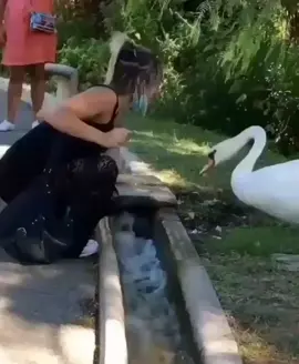 ESTO PARA QUE TE PONGA LA MASCARILLA