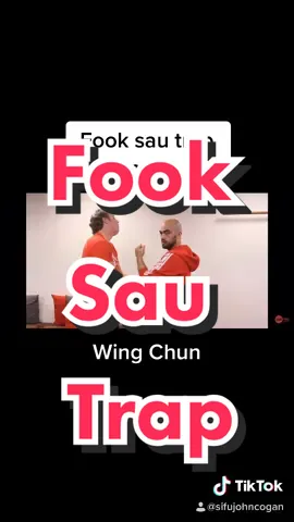 For you guys who wanted a slower explanation #wingchun #wingchunkungfu #martialarts #kungfu