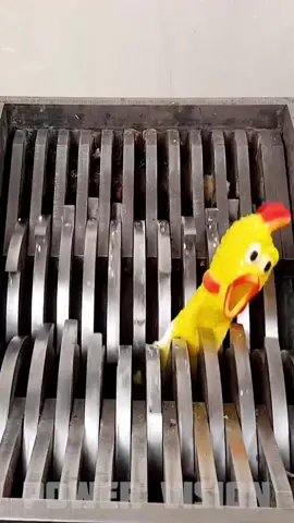Shredding Rubber Chicken #experimentos